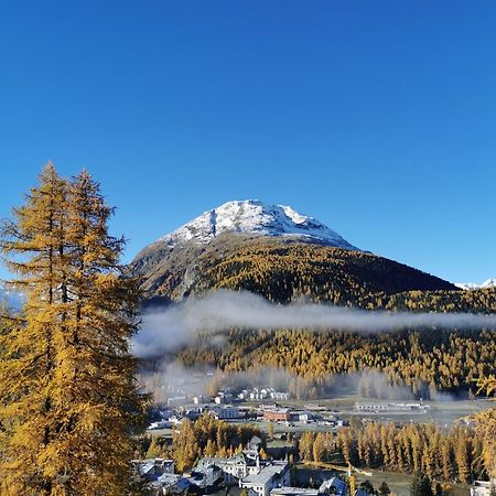 Ferienwohnung Pontresina - Chesa Andrea - Gartensitzplatz Ngoại thất bức ảnh